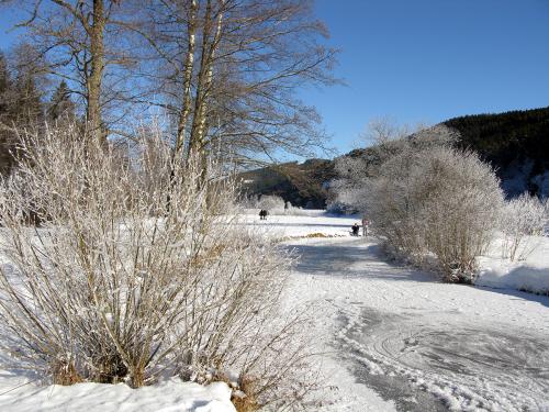 1.-Der Seebach oberhalb des Titisees