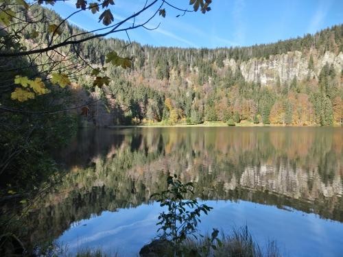 11.-D-BW-FR-Feldberg (Schwarzwald) - Feldsee 002