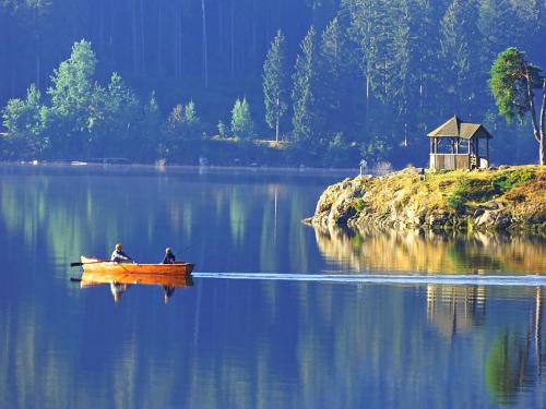 12.-Angler auf dem Schluchsee - panoramio (2)