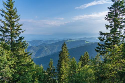 12.-Naturschutzgebiet Belchen - Belchen Bild 4