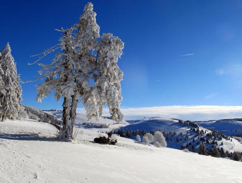 14.-Schauinsland Wintersonnentag