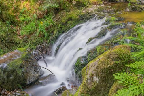 15.-Breitnau - Ravenna Wasserfall an der Großjockenmühle - Bild 2