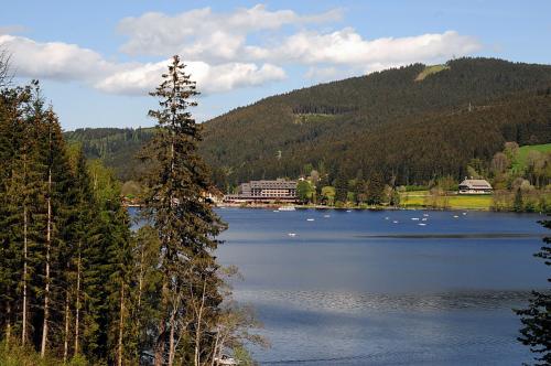 25.-The famous lake Titisee in the Schwarzwald - panoramio