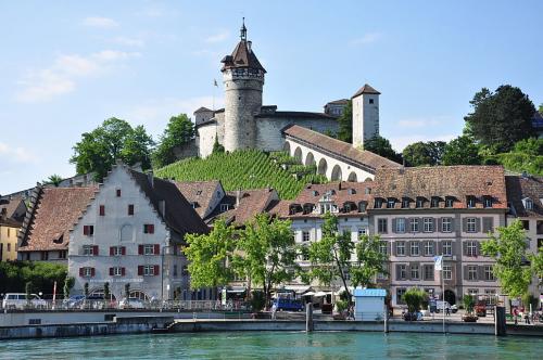 26.-Schaffhausen - Rhein - Feuerthalen IMG 9847