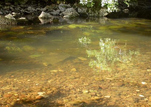 30.-Wutachschlucht fg2