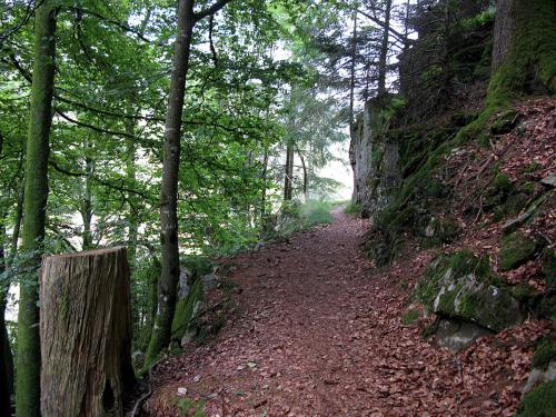 33.-Schluchtensteig 8 im Wehratal