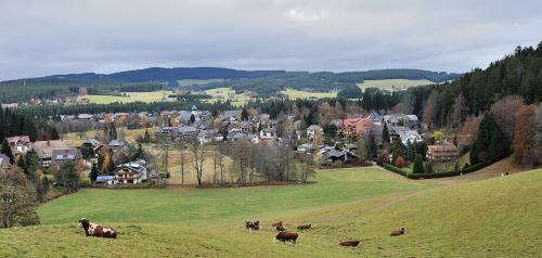 35.-Schwarzwald Hinterzarten 01