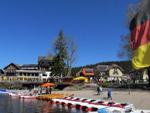 4.-Titisee im Schwarzwald - panoramio (15)