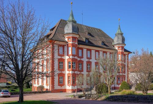 43.-Bonndorf im Schwarzwald Schloss Bonndorf Bild 1