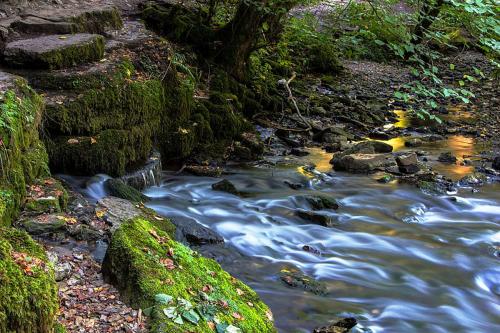 45.-NSG Wutachschlucht 04