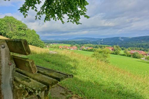 47.-Bonndorf im Schwarzwald Naturschutzgebiet Vogtsberg Bild 12