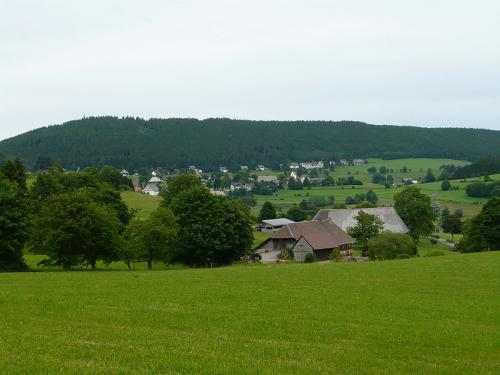 49.-Lenzkirch - Saig 1000558