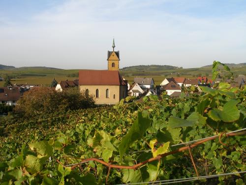 5.-Kaiserstuhl 2012 195