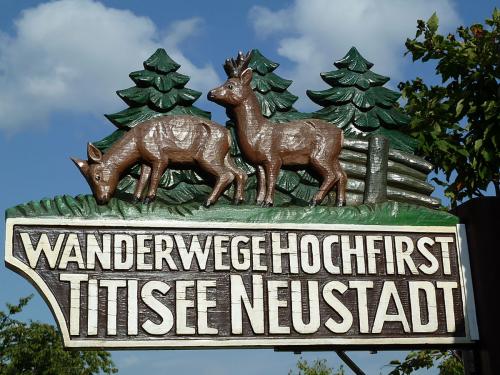 51.-Saig 1040514 - Wanderweg Hochfirst