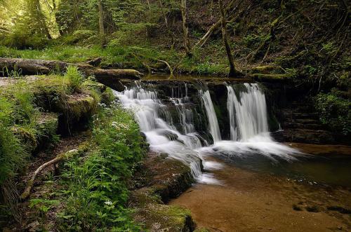 62.-Frühling in der Gauchachschlucht 06 NSG Wutachschlucht 20170524