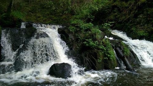 63.-Rötenbach 24052016-Wasserfall des Rötenbachs in der Oberen Wutachschlucht