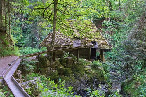 66.-Breitnau - Ravennaschlucht - Großjockenmühle Bild 2