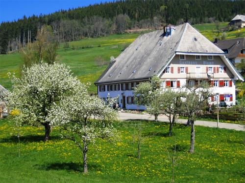 68.-Gasthaus Blume, Kappel
