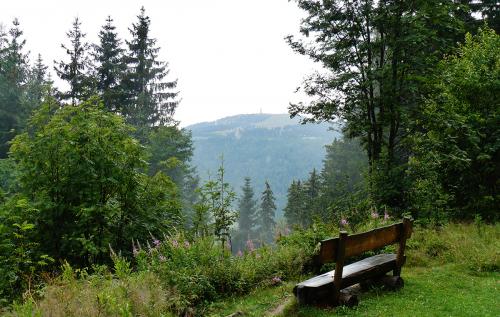 8.-Ausblick vom Hochkopfweg Richtung Seebruck - panoramio