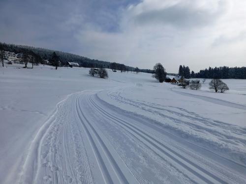 8.-Langlaufloipe in Lenzkirch-Saig (9)