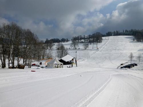 9.-Rodelbahn in Lenzkirch-Saig