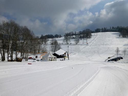 9.-1024px-Saig-Lenzkirch-Piste de luge